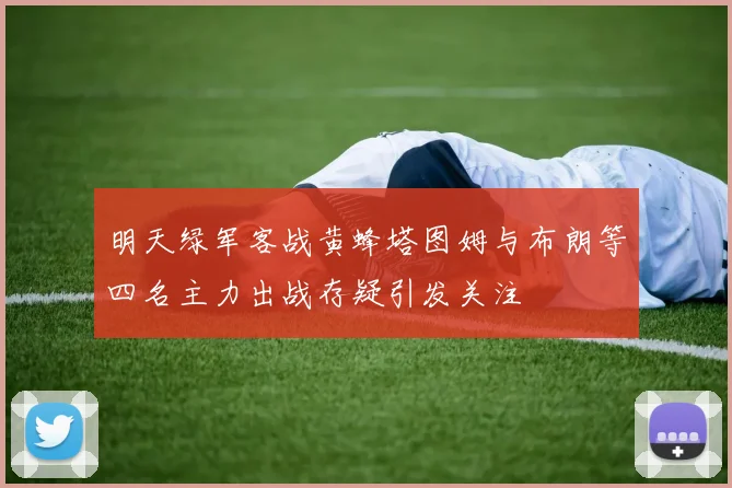 明天绿军客战黄蜂塔图姆与布朗等四名主力出战存疑引发关注