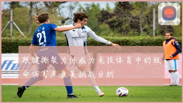 跟腱撕裂为何成为竞技体育中的致命伤害及康复挑战分析