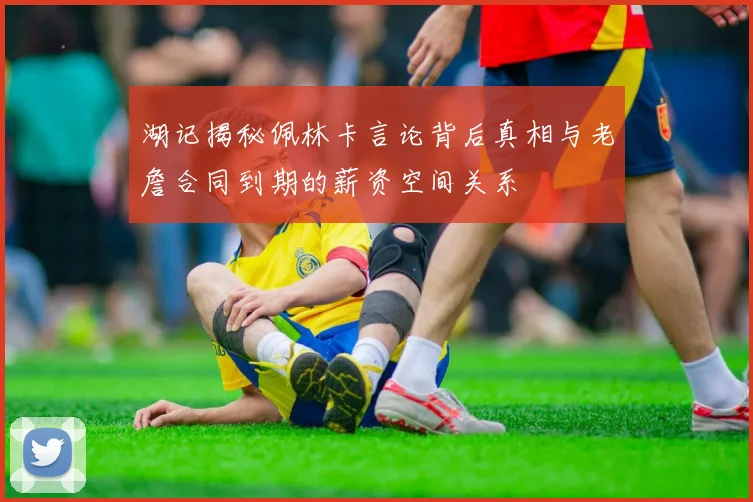 湖记揭秘佩林卡言论背后真相与老詹合同到期的薪资空间关系
